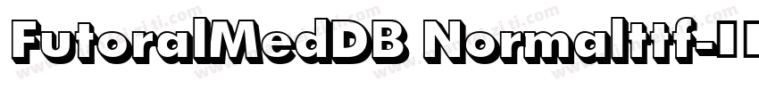 FutoralMedDB Normalttf字体转换